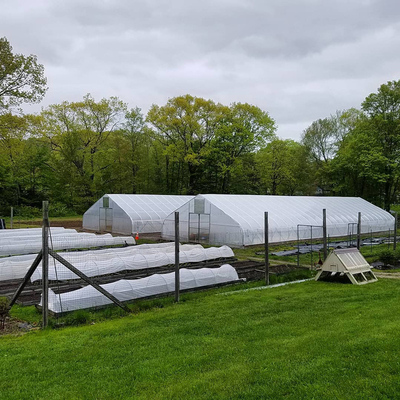 O ponto baixo agrícola da tampa do filme plástico do tomate barato custou a estufa econômica do túnel para o vegetal